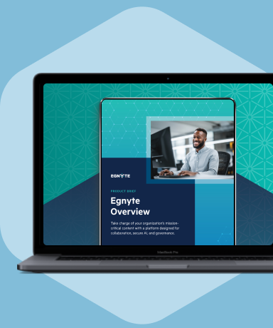 Egnyte Overview Product Brief