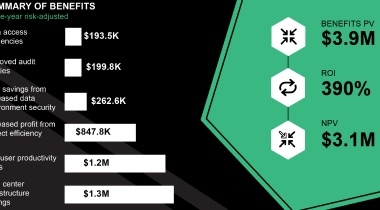 The Total Economic Impact of the Egnyte Platform