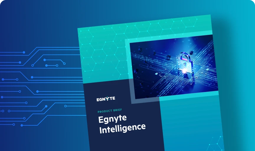 Egnyte Intelligence Product Brief